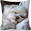 1Pc Sleeping Maltese Printed Throw Pillow Cover, Suitable For Sofa, Bedroom, Living Room, A Heartwarming Gift For Dog Lovers.