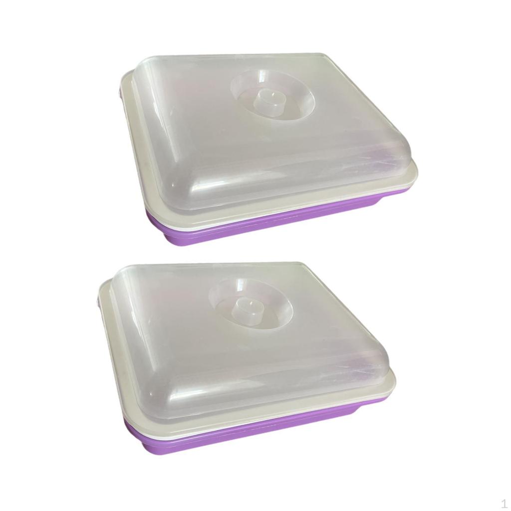 Seed Sprouting Trays for Plant Growth