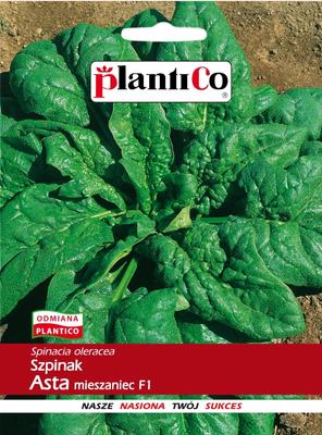 Spinach Asta Hybrid F1 Vegetable Seeds for the Garden 10g