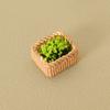 1:12 Dollhouse Miniature Bamboo Weaving Flower Basket Plant Ornament Mini Green Plant Pot Potted Garden Home Model Decor