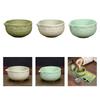 Ceramic Matcha Bowl Japanese Green Tea Cup Tea Ceremony Matcha Mixing Bowl for