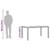 VidaXL Table de jardin dessus en verre Noir 150x90x75cm Résine tressée 365589