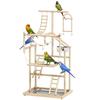 Bird Play Area, Parrot, Ladders, Chain Toy, Tray, 48 X 38 X 95 Cm, Natural Wood