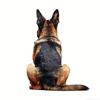 9 Styles Cute Dog Car Sticker Pet Dog Animal Car Sticker Waterproof Styling Automobiles Motorcycle Exterior Accessories Y205