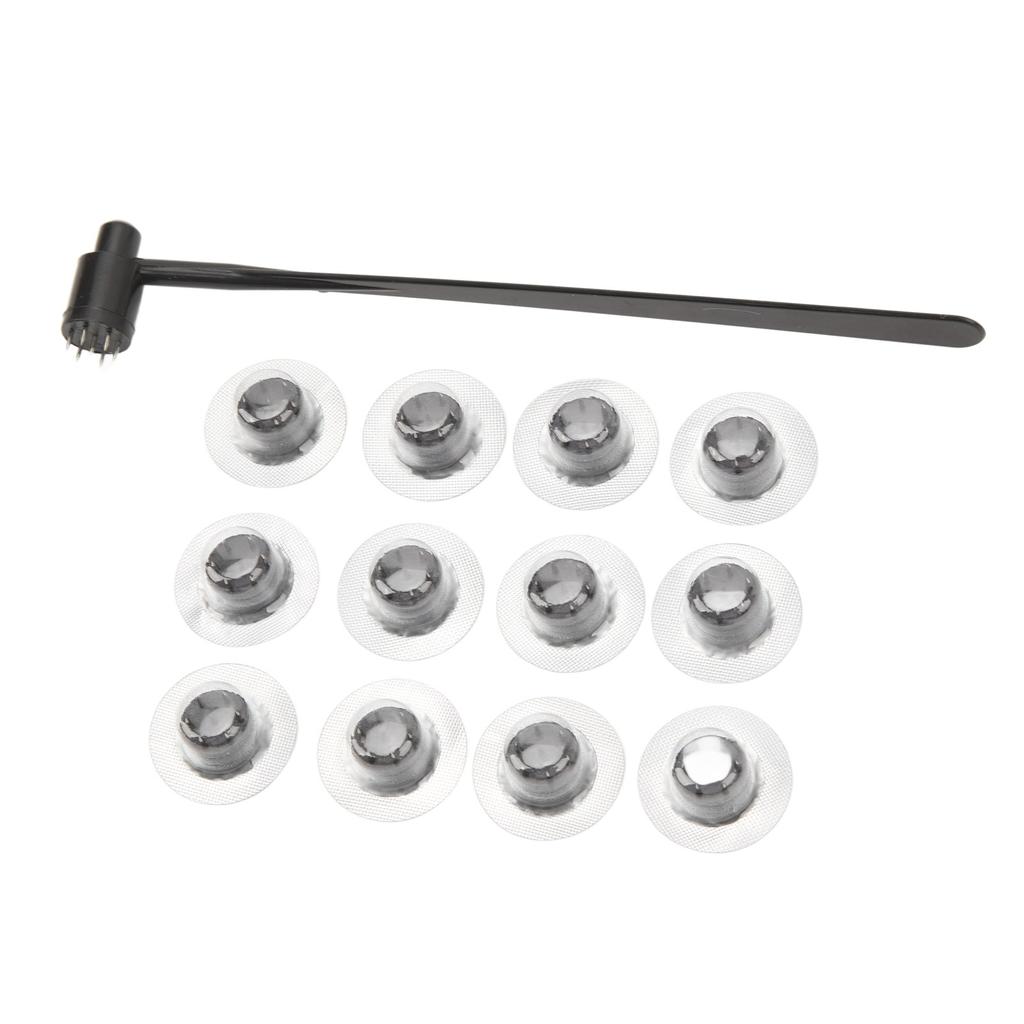 Seven Star Needle Hammer Stainless Steel Plum Blossom Dermal Hammer with 12 Replace Heads