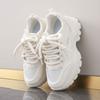Small Height Sports Shoes Women's New Spring Thick Sole Inner Height Increase Dad Shoes Women's Versatile