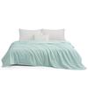Mercury Home Textiles Washable Tussah Silk Summer Quilt