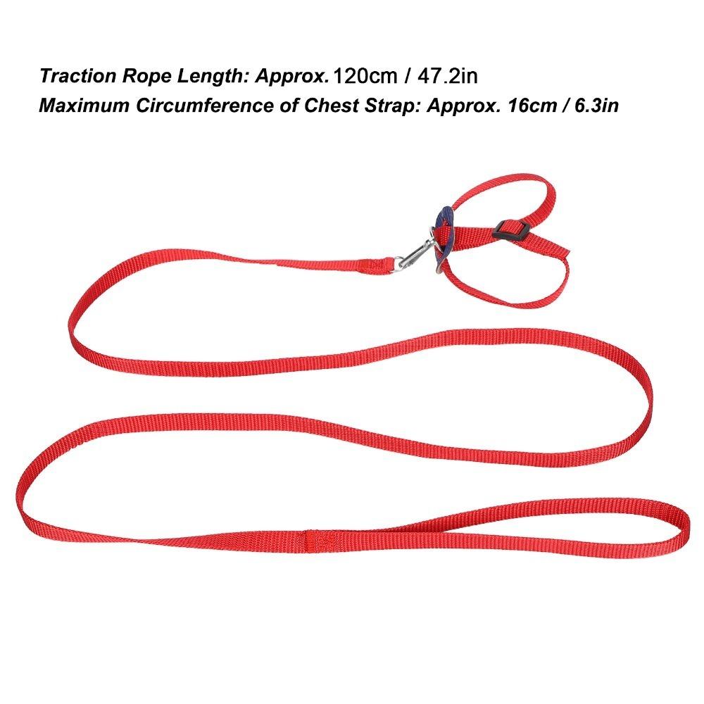 Adjustable Pet Bird Harness Nylon Material Parrot Leash Bird Harness Leash Outdoor Flying