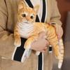 Calico Cat Plush Doll - Starry Outfit Birthday Gift for Kids