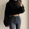 Lammwolle Kapuzenpullover Damen Kordelzug Locker Lässig Kurze Plüschjacke Verdickt und Samt Herbst und Winter Neu