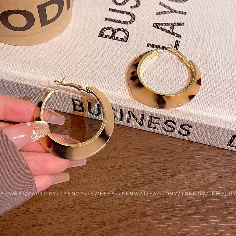 Maillard coffee amber earrings women's light luxury niche stud earrings commuter ear jewelry