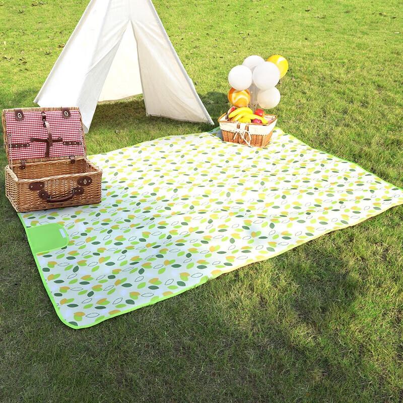 TFO Portable Picnic & Beach Mat