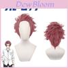 Blue Lock Itoshi Sae Cosplay Wig Heat Resistant Short Hair Comic Prop Gift
