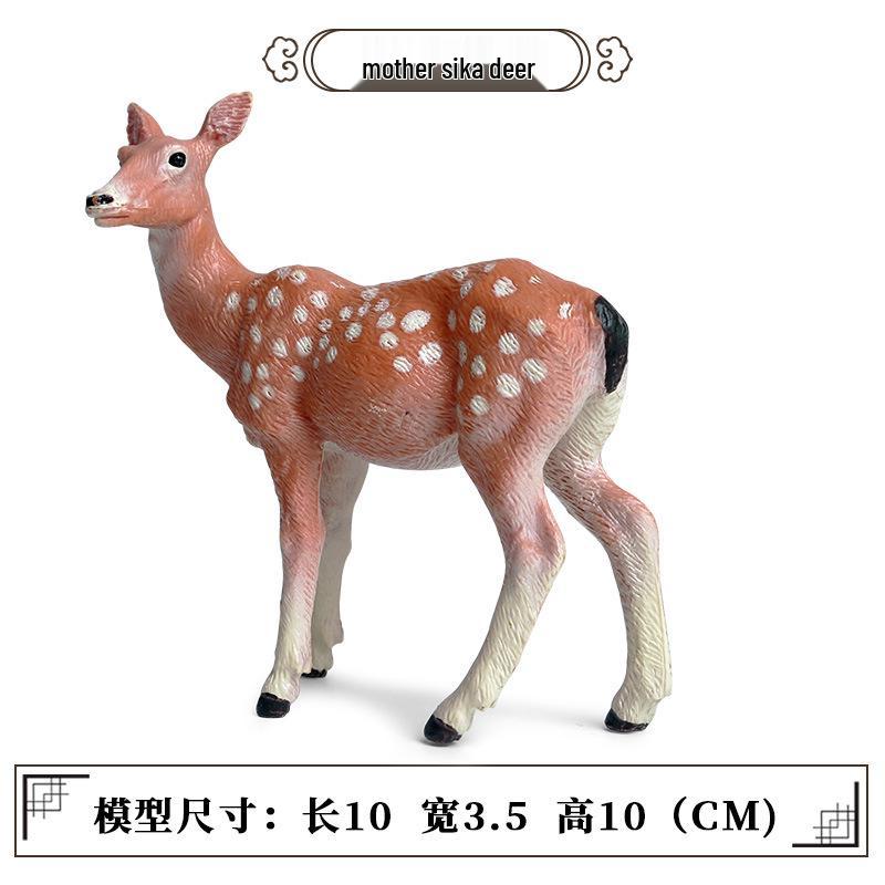 Wild Safari Animal Figurines: Giraffe, Elephant, Rhinoceros, Brown Bear, Tiger, Lion, Leopard, Hippopotamus - Solid Cognitive Toys