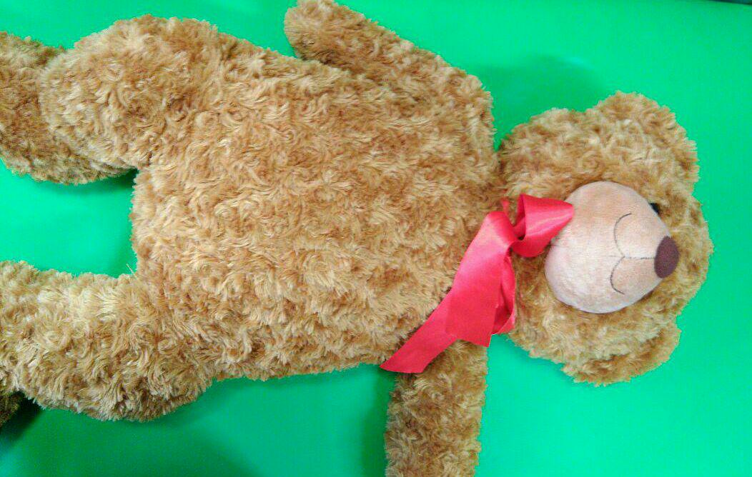

[USED] Extra large teddy bear plush toy