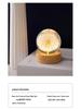 Dandelion Crystal Ball Night Light with Preserved Flower