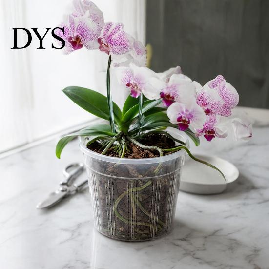 Phalaenopsis Pots Planter, Clear Plastic Orchid Pot with Drainage Holes, Root Control Breathable Slotted Plant Containers Design, for Indoor