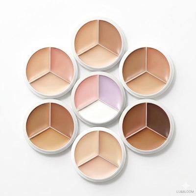 Cover Up Pro Concealer 15g (+Free Gift)
