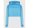 Adidas Adicolor Classics Hoodie