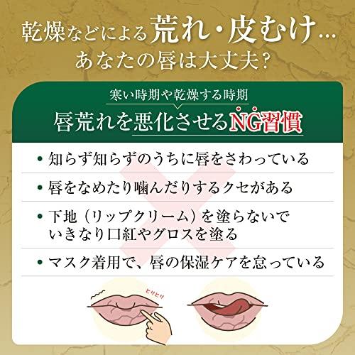 Medicinal Product Mentholatum Lip Repair One Unscented 2.3g (Roughness Intensive Niacinamide Vitamin E Derivative)