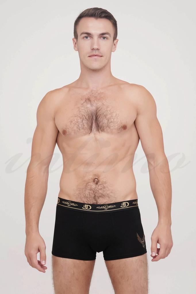 Jolidon-Boxer (22552)