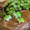 3Pcs Miniature Frog Figurines Plant Decorations Realistic Looking Weather-Resistant Adorable Frog Statues Garden Decor