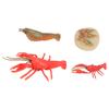 Simulation Lobster Growth Cycle Model Vivid Crayfish Life Cycle Figurines for Kids Education Toy Home Decoration