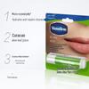 Vaseline Lip Repair Balm Twin Pack