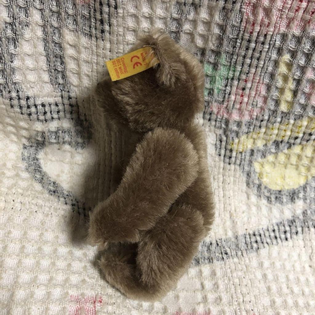 [USED] Steiff Teddy Bear 030147 Used Teddy Bear
