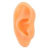 Model Ucha Symulacja Miękki Silikon Profesjonalna Forma Ekspozycyjna Ucha do Kolczyków Aparatów Słuchowych Prawy