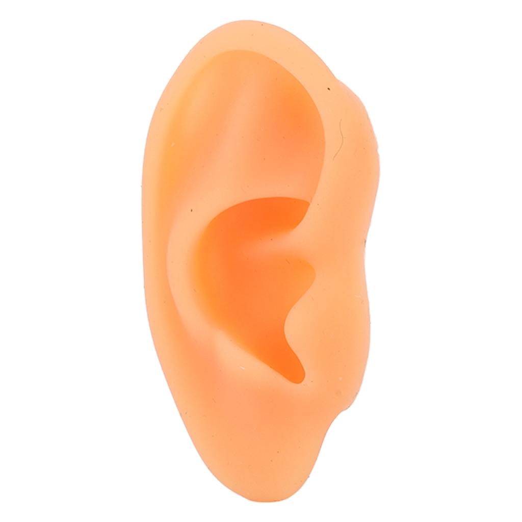 Model Ucha Symulacja Miękki Silikon Profesjonalna Forma Ekspozycyjna Ucha do Kolczyków Aparatów Słuchowych Prawy