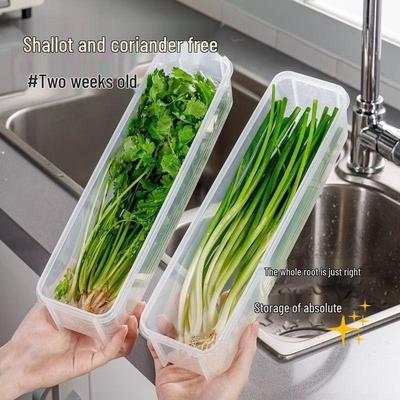 Coriander & Shallot Storage Box Set: Refrigerator Root Preserver, Thickened Noodle Box & Sealed Egg Container.