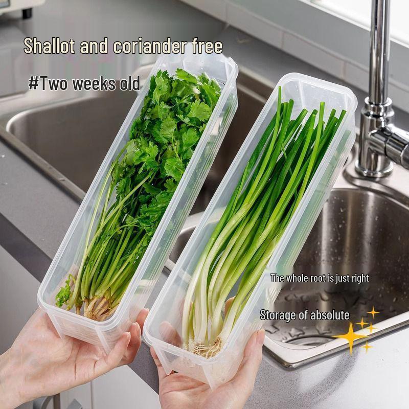 Coriander & Shallot Storage Box Set: Refrigerator Root Preserver, Thickened Noodle Box & Sealed Egg Container.