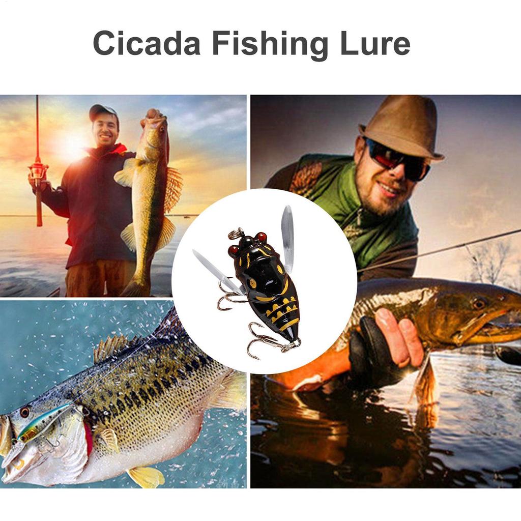 4cm/5.5g Cicada Lures for Fishing Realistic Cicada Hard Fish Lure Fishing Cicada Bait Fishing Bait Lures Fishing Topwater Lure