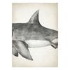 Marine Animals Canvas Paintings Great White Shark Posters and Prints Killer Whale Wall Art Picture for Home Decoration No Frame
