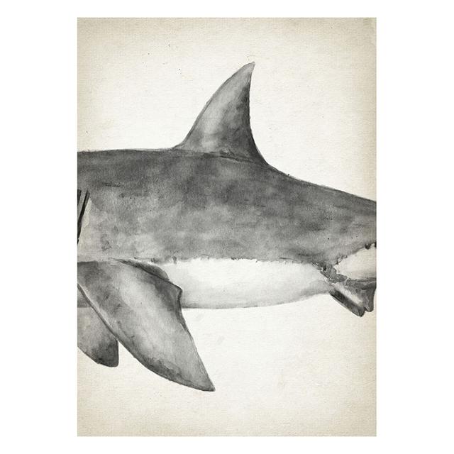 Marine Animals Canvas Paintings Great White Shark Posters and Prints Killer Whale Wall Art Picture for Home Decoration No Frame