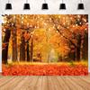 Autumn maple forest themed backdrop for adult birthday party decorations, photo banner, accessories3866