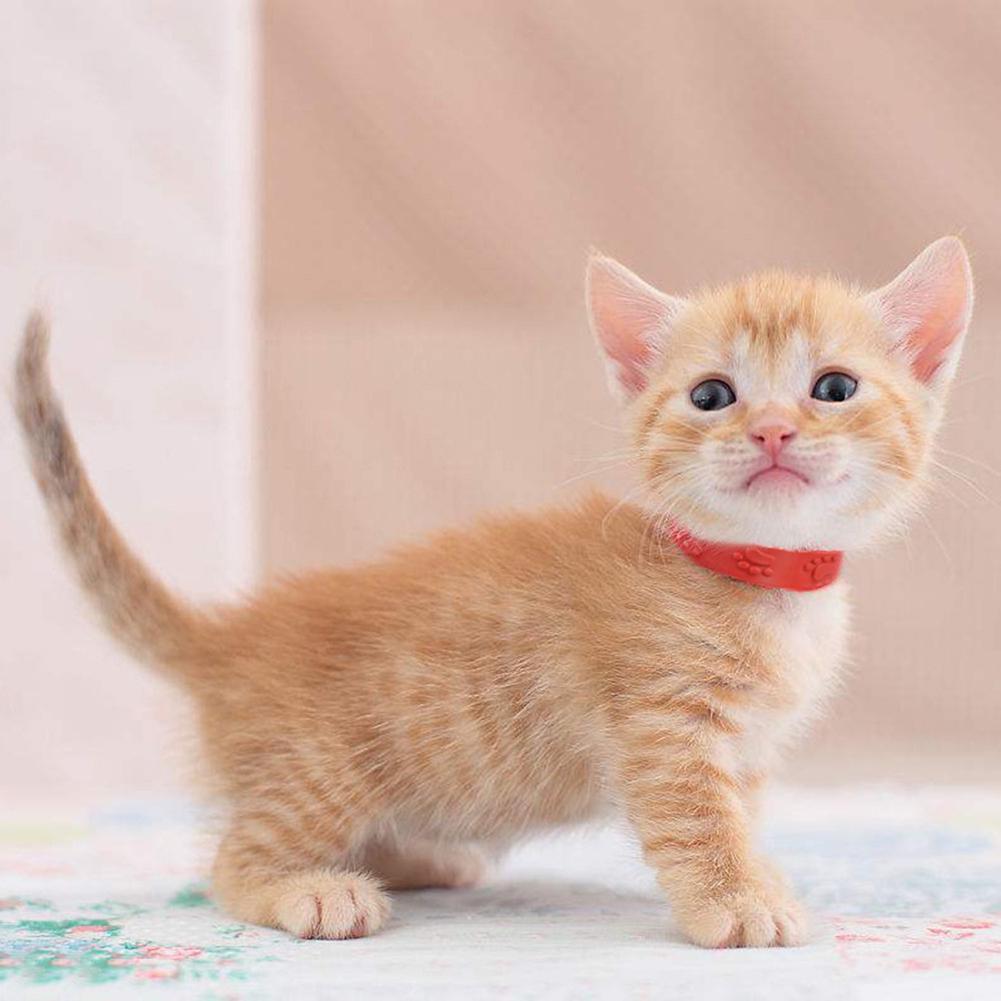 Pet Tick Cats Adjustable Mosquito Flea Mite Collar Dog Paws Necklace