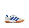 Spezialist Indoor Shoes