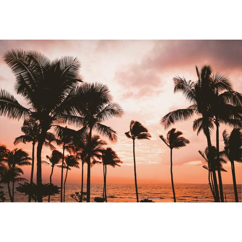 Tropical Summer Beach Shell Palm Tree Surfboard Poster Print Nordic Canvas Printing Wall Art Picture for Surfing Club Home Decor