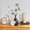 A Set Elegant Ceramic Vase Solid Color Flower Arrangement Vase Creative Water Cultivation Vase