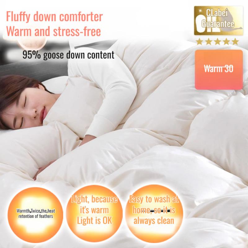 Down quilt white goose down quilt winter cotton thick quilt core winter quilt Warm Cozy Cashmere Duvet quilt core winter quilt