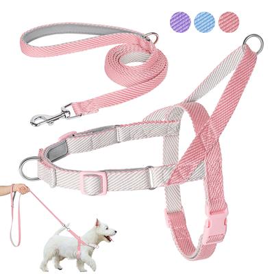 Pettorina per cani anti-trazione Guinzaglio Nylon Pettorine per cani piccoli Regolabile Gilet per animali domestici Cuccioli Guinzaglio per cani piccoli medi Chihuahua Carlino