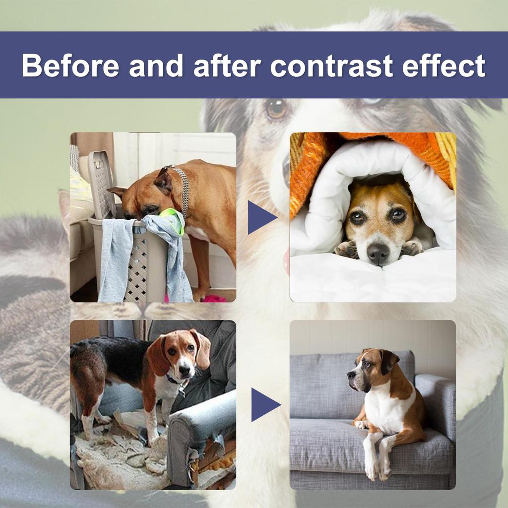 YEGBONG Spray Anti-Masticamento per Animali Domestici dal Profumo Amaro - Impedisce ai Cani di Masticare Gambe di Tavoli e Sedie e di Graffiare Divani