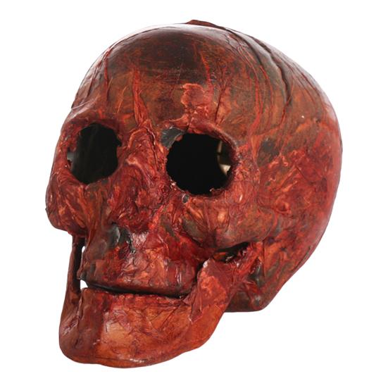 Halloween Skull Head Decor Plastic Realistic Human Skull Figurine for Graveyard Scene Haunted House Bar Home Table Decorations