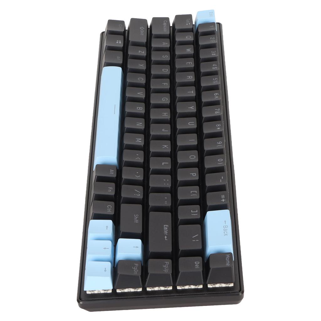 Gaming Keyboard USB 68 Keys Blue Switch N Key Rollover 10 RGB Backlit Modes Wired Keyboard for Desktop Laptop Black Blue