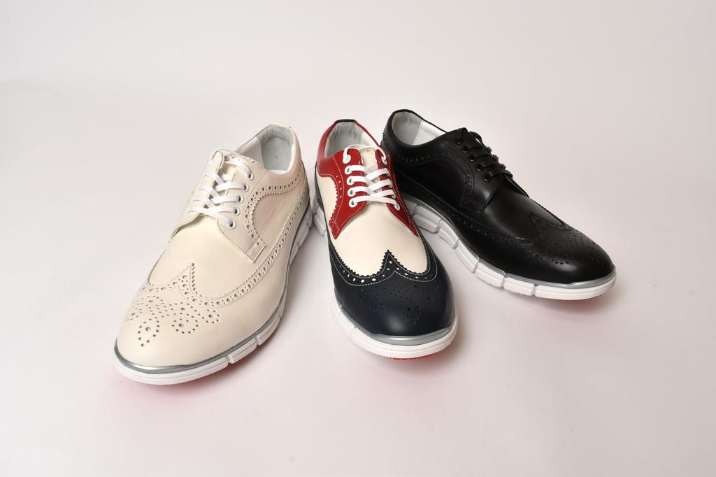 Kůže vyrobená v ležérní pravé snadno se chodí v cm [Hiroshi Tsubouchi] boty, tenisky, Japonsko, boty, brogue, kůže, [HTO-0210] [HTO-AD05] Pánské,