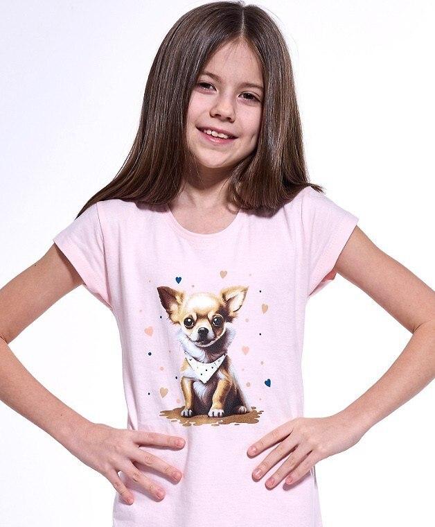 Cornette Young Girl Shirt 494/112 Chihuahua 2 Kr/r 134-164 Cornette