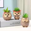 Cute Owl Ceramic Planter for Succulents: Flower/Bonsai Thumb Pot Ornament