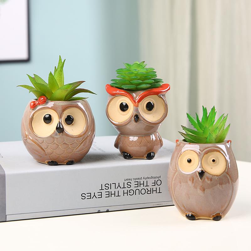 Cute Owl Ceramic Planter for Succulents: Flower/Bonsai Thumb Pot Ornament